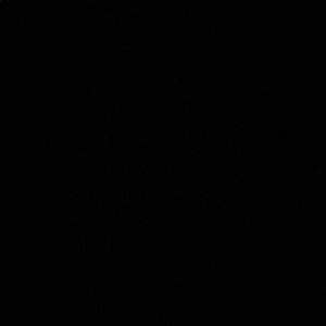 Meet your Posher, Clarence